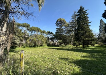TERRENO AVENIDA CONSTITUCION APTO RESIDENCIAL O COMERCIAL Galpon / duplex 